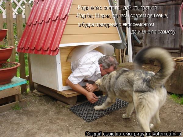 Котоматрица: -Ради всего святого - дай отыграться! -Рад бы, Шарик, да часы совсем дешевые, а будка гламурная с евроремонтом да и мне по размеру