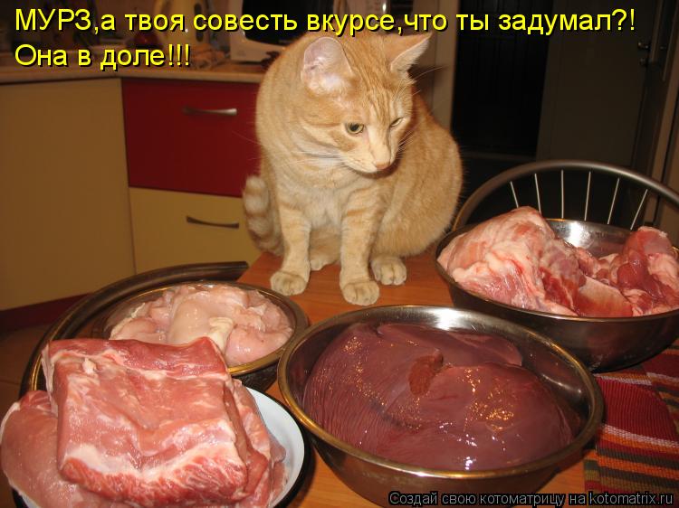 МУРЗ,а твоя совесть вкурсе,что ты задумал?! Она в доле!!!... Котоматрица: МУРЗ,а твоя совесть вкурсе,что ты задумал?! Она в доле!!!