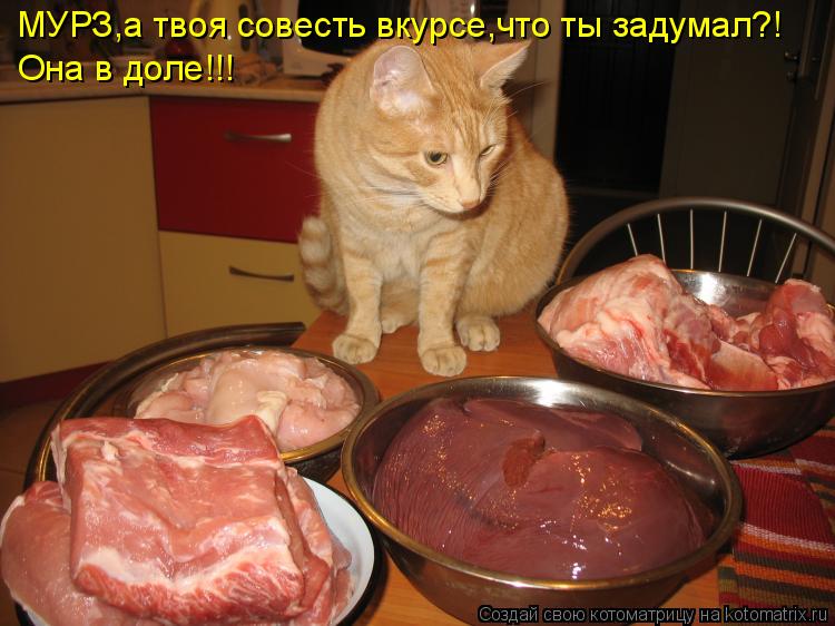 Котоматрица: МУРЗ,а твоя совесть вкурсе,что ты задумал?! Она в доле!!!