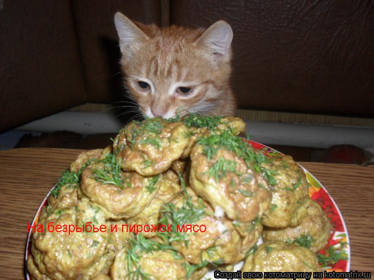 Котоматрица: На безрыбье и пирожок мясо