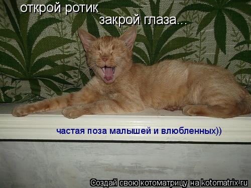 Котоматрица: открой ротик закрой глаза... частая поза малышей и влюбленных))