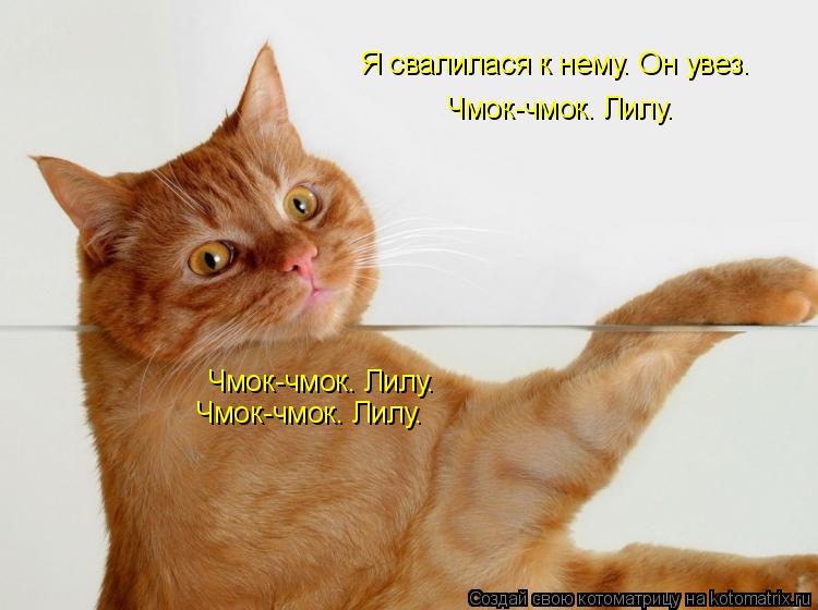 Котоматрица: Я свалилася к нему. Он увез. Чмок-чмок. Лилу. Чмок-чмок. Лилу. Чмок-чмок. Лилу.