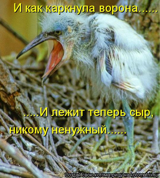 И как каркнула ворона...... .....И лежит теперь сыр, никому ненужный......... Котоматрица: И как каркнула ворона...... .....И лежит теперь сыр, никому ненужный......