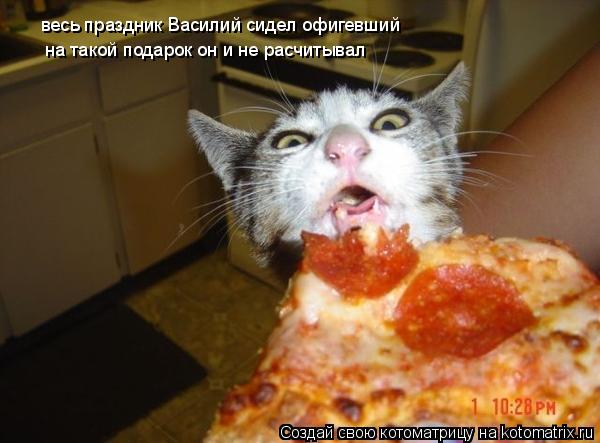 Котоматрица: на такой подарок он и не расчитывал весь праздник Василий сидел офигевший
