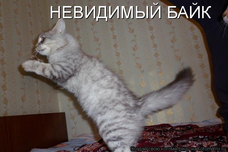 Котоматрица: НЕВИДИМЫЙ БАЙК