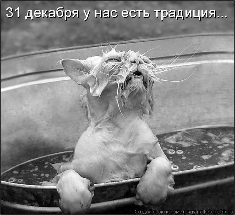 Котоматрица: 31 декабря у нас есть традиция...