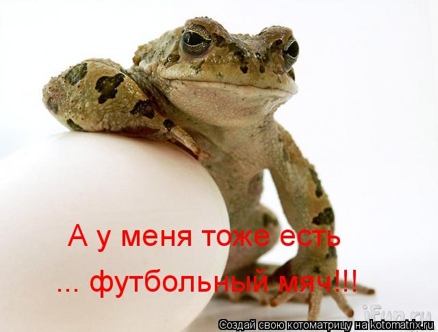 Котоматрица: А у меня тоже есть ... футбольный мяч!!!