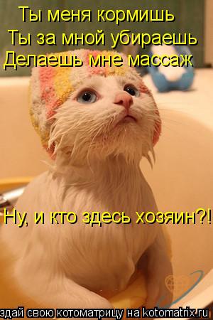 Котоматрица: Ты меня кормишь Ты за мной убираешь Делаешь мне массаж Ну, и кто здесь хозяин?!