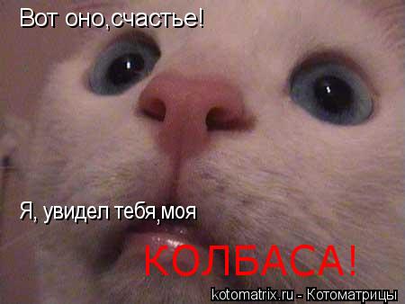 Котоматрица: Вот оно,счастье! Вот оно,счастье! Я, увидел тебя моя , КОЛБАСА!