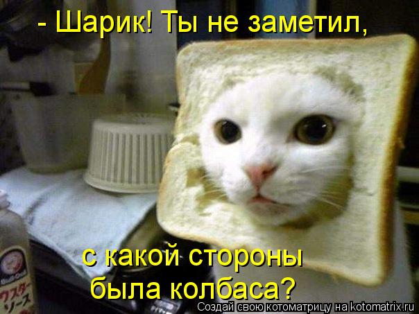 Котоматрица: - Шарик! Ты не заметил, с какой стороны была колбаса?