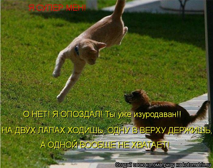 Котоматрица: Я СУПЕР МЕН!  О НЕТ! Я ОПОЗДАЛ! Ты уже изуродаван!!  НА ДВУХ ЛАПАХ ХОДИШЬ, ОДНУ В ВЕРХУ ДЕРЖИШЬ, А ОДНОЙ ВООБЩЕ НЕ ХВАТАЕТ!