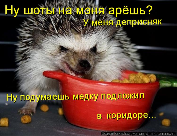 Котоматрица: Ну шоты на мэня арёшь? У меня деприсняк У меня деприсняк Ну подумаешь медку подложил  в  коридоре...