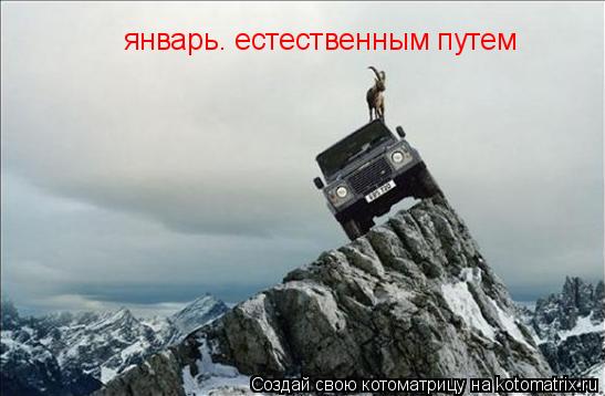 Котоматрица: январь. естественным путем
