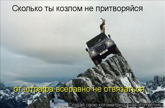 Котоматрица: Сколько ты козлом не притворяйся от штрафа всеравно не отвязаться.