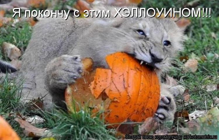 Котоматрица: Я покончу с этим ХЭЛЛОУИНОМ!!!