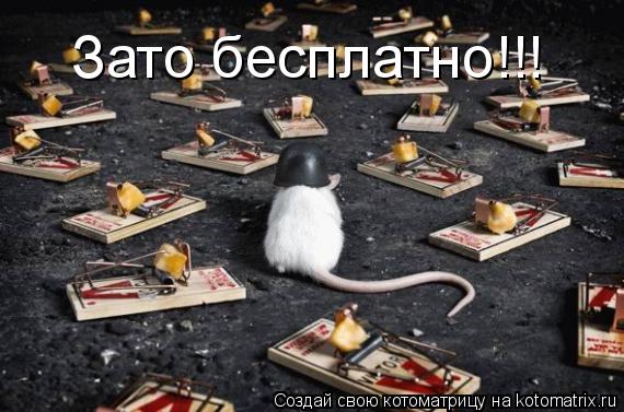 Котоматрица: Зато бесплатно!!!