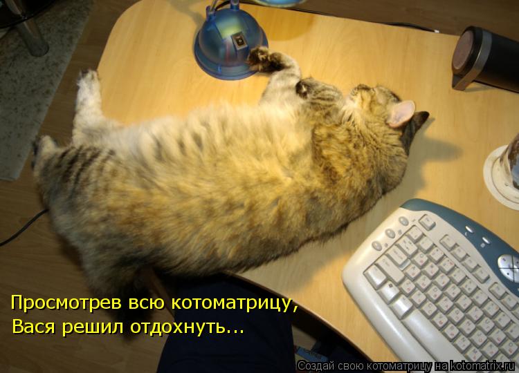 Котоматрица: Просмотрев всю котоматрицу, Вася решил отдохнуть...