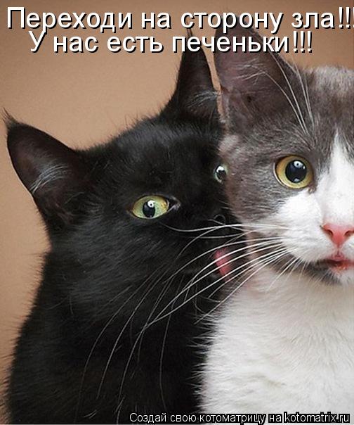 Котоматрица: Переходи на сторону зла!!! У нас есть печеньки!!!