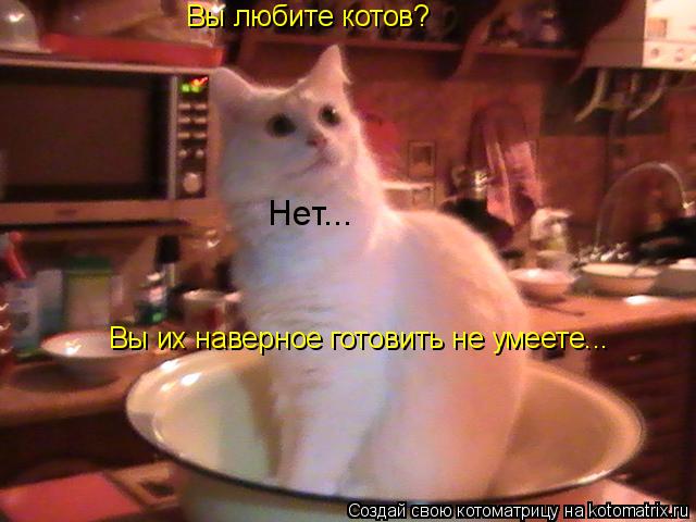 Вы любите котов? Нет... Вы их наверное готовить не умеете...... Котоматрица: Вы любите котов? Нет... Вы их наверное готовить не умеете...