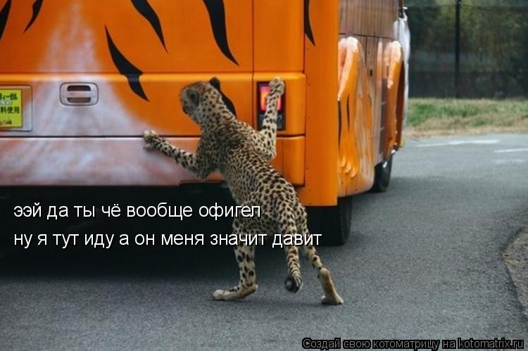 ээй да ты чё вообще офигел ну я тут иду а он меня значит давит... Котоматрица: ээй да ты чё вообще офигел ну я тут иду а он меня значит давит