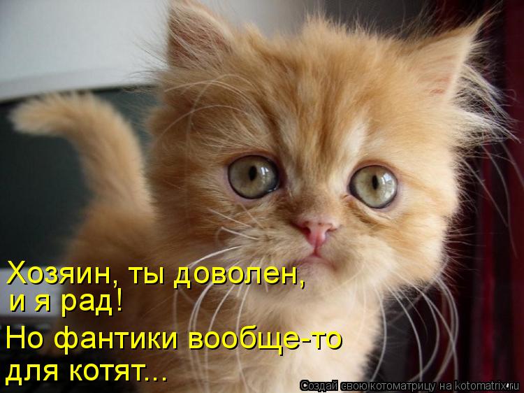 Котоматрица: Хозяин, ты доволен, и я рад! Но фантики вообще-то для котят...