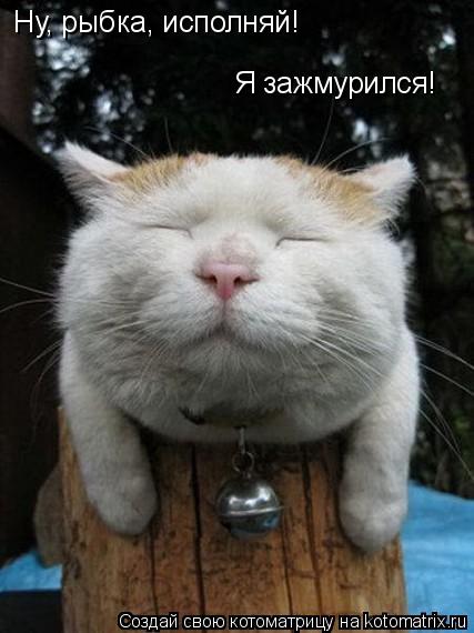 Котоматрица: Ну, рыбка, исполняй!   Я зажмурился!
