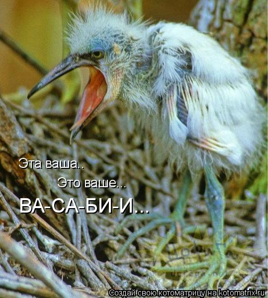 Котоматрица: Эта ваша.. Это ваше... ВА-СА-БИ-И...