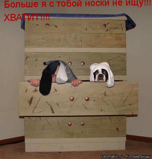 Котоматрица: Больше я с тобой носки не ищу!!! Больше я с тобой носки не ищу!!! ХВАТИТ!!!!