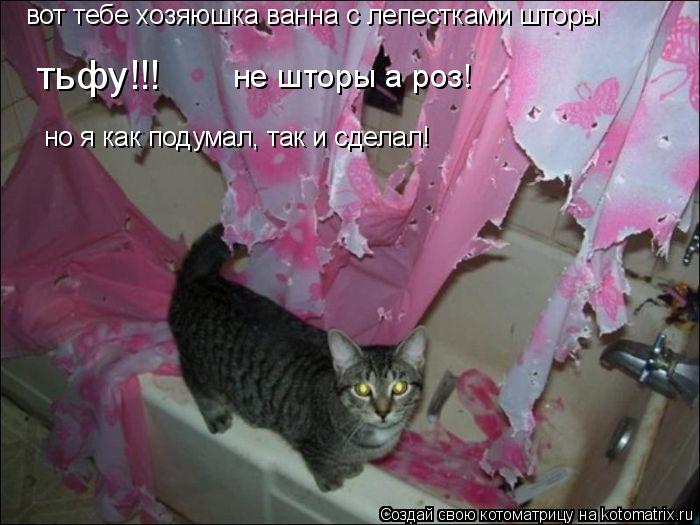 Котоматрица: вот тебе хозяюшка ванна с лепестками шторы тьфу!!!                             не шторы а роз!                        но я как подумал, так и сделал!