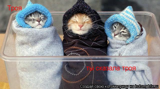 Котоматрица: Троя Троя ты сказала троя