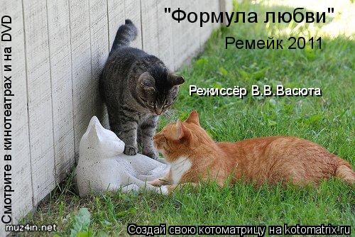 Котоматрица: "Формула любви" Ремейк 2011 Режиссёр В.В.Васюта Смотрите в кинотеатрах и на DVD