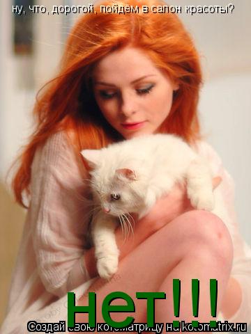 Котоматрица: ну, что, дорогой, пойдём в салон красоты? нет!!!