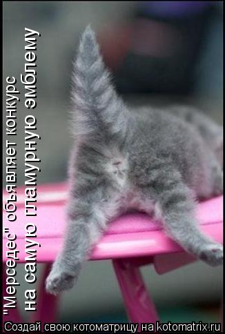 Котоматрица: "Мерседес" объявляет конкурс на самую гламурную эмблему