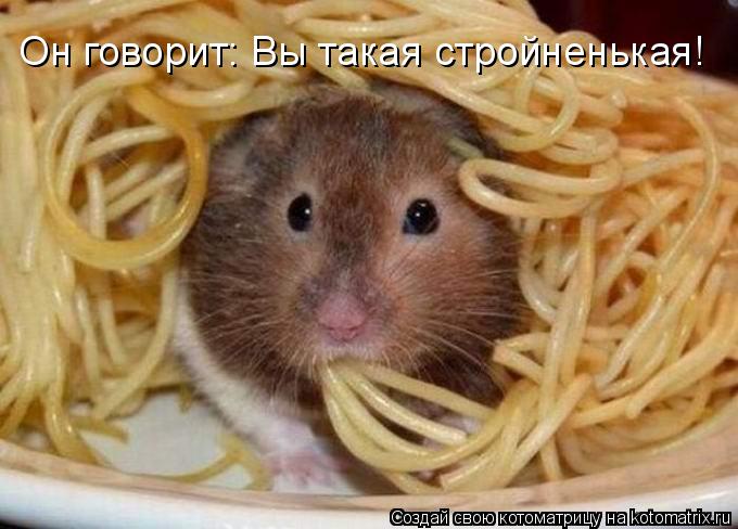 Он говорит: Вы такая стройненькая!... Котоматрица: Он говорит: Вы такая стройненькая!