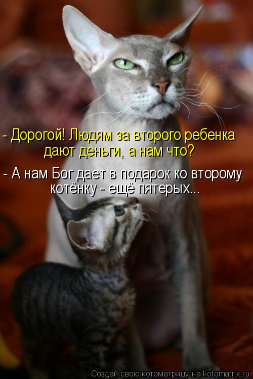 - Дорогой! Людям за второго ребенка дают деньги, а нам что? - А нам Бог дает в подарок ко второму кот... Котоматрица: - Дорогой! Людям за второго ребенка дают деньги, а нам что? - А нам Бог дает в подарок ко второму котёнку - ещё пятерых...