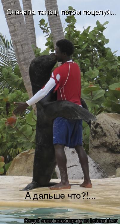 Сначала танец, потом поцелуй... А дальше что?!...... Котоматрица: Сначала танец, потом поцелуй... А дальше что?!...