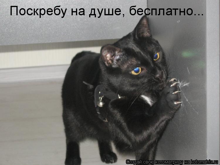 Поскребу на душе, бесплатно...... Котоматрица: Поскребу на душе, бесплатно...
