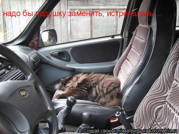 надо бы подушку заменить, истрепалась....... Котоматрица: надо бы подушку заменить, истрепалась....
