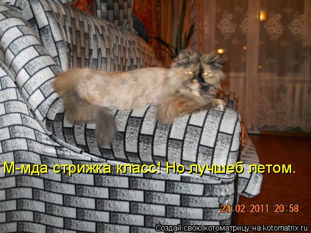 М-мда стрижка класс! Но лучшеб летом.... Котоматрица: М-мда стрижка класс! Но лучшеб летом.