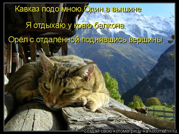Кавказ подо мною.Один в вышине Я отдыхаю у краю балкона. Орёл с отдалённой поднявшись вершины .... Котоматрица: Кавказ подо мною.Один в вышине Я отдыхаю у краю балкона. Орёл с отдалённой поднявшись вершины .