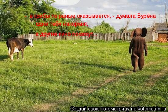 - а грибы то раные оказывается, - думала Бурёна одни тебя накормят, а другие кино покажут...... Котоматрица: - а грибы то раные оказывается, - думала Бурёна одни тебя накормят, а другие кино покажут...