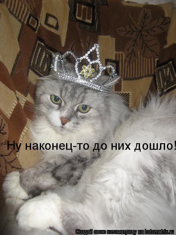 Ну наконец-то до них дошло!... Котоматрица: Ну наконец-то до них дошло!
