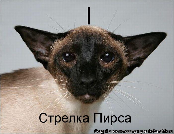 I Стрелка Пирса... Котоматрица: I Стрелка Пирса
