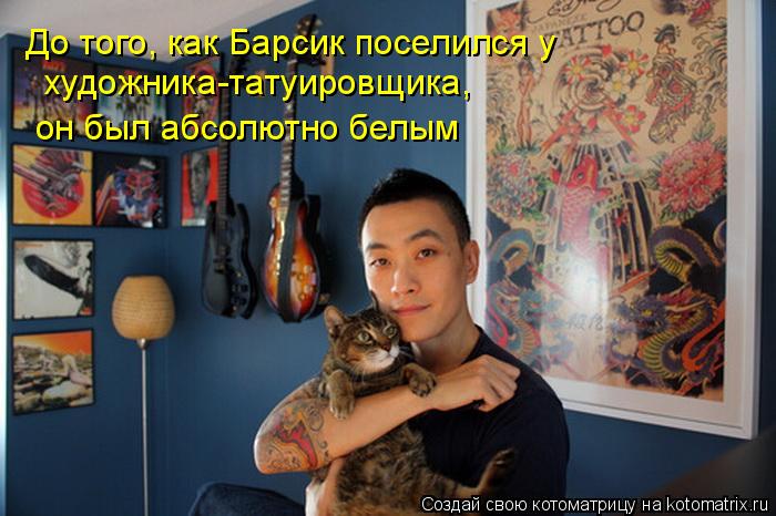 До того, как Барсик поселился у художника-татуировщика, он был абсолютно белым... Котоматрица: До того, как Барсик поселился у художника-татуировщика, он был абсолютно белым