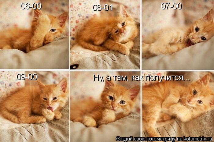 06-00 06-01 07-00 09-00 Ну, а там, как получится...... Котоматрица: 06-00 06-01 07-00 09-00 Ну, а там, как получится...