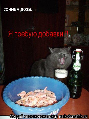 Я требую добавки!!! сонная доза...... Котоматрица: Я требую добавки!!! сонная доза...