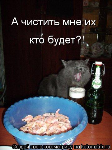 А чистить мне их кто будет?!... Котоматрица: А чистить мне их кто будет?!