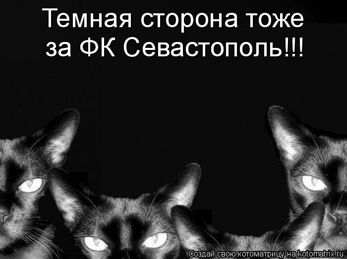 Темная сторона тоже за ФК Севастополь!!! за ФК Севастополь!!!... Котоматрица: Темная сторона тоже за ФК Севастополь!!! за ФК Севастополь!!!