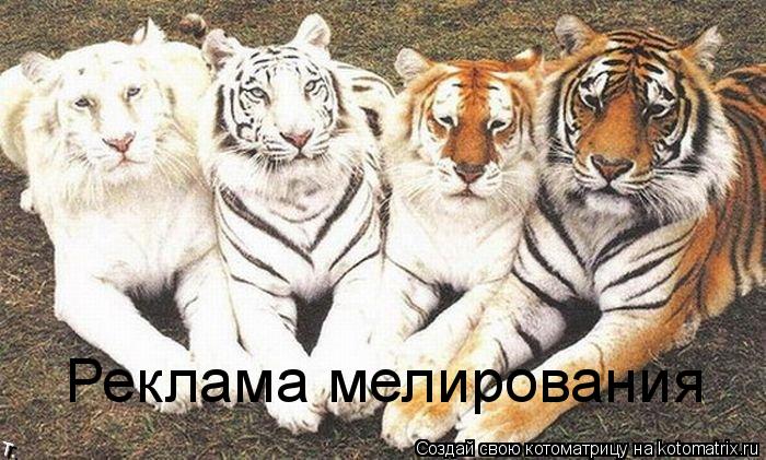 Реклама мелирования... Котоматрица: Реклама мелирования