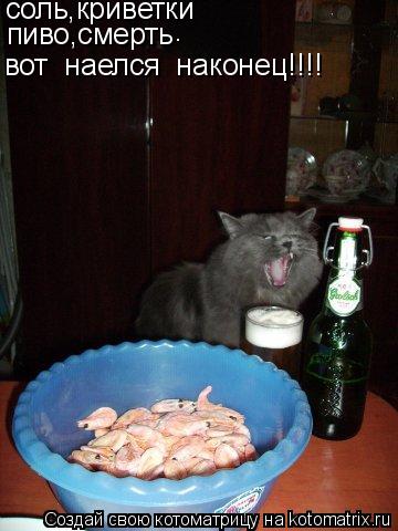 соль,криветки пиво,смерть . вот наелся наконец!!!!... Котоматрица: соль,криветки пиво,смерть . вот наелся наконец!!!!